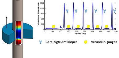 Das Diagramm veranschaulicht die zyklischen Peaks des neuen Separationsverfahrens, die durch eine wandernde Temperierzone forciert werden.