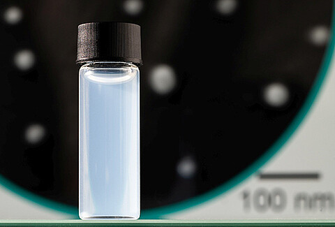 Improved cancer therapy with nanotechnology – NanoDrug Delivery wins 2024 Lower Saxony Innovation Award