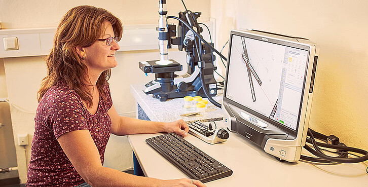 Under the light microscope, the structure of the carbon fragments becomes visible: The carbon fibers are stiff, rough, and known to be thermally stable. (Image: KIT)