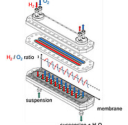 Via membrane surfaces, hydrogen and oxygen are fed in alternately.