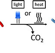 Die Herstellung von PE und PE-ähnlichen Polymeren erfolgt bei der neuen Syntheseroute über die Decarboxilierungschemie. Die Decarboxilierung wirkt dabei selektiv nur auf das Precursorsystem. Sie läuft unter Luftausschluss, blauem LED-Licht (450 nm) und Ru