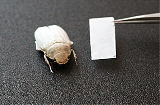 Pure white on polymer basis