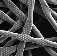 Microscopic image of a microstructured nonwoven that has been mechanically embossed using the novel roll-to-roll process. (Image: Institute of Microstructure Technology / KIT)
