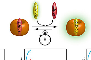 Detektion von Analyten mittels Bindungskinetik 