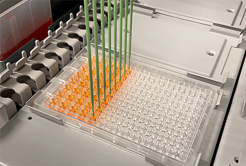 The better laboratory standard
