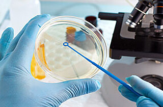 With biohybrid composite material to 3D cell culture model