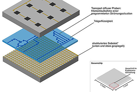 Interview: Nominees of the NEULAND Innovation Contest