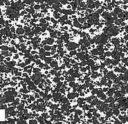 Rasterelektronenmikroskopische Aufnahme eines gesinterten, strukturierten Keramikkomposits mit 70% MBO und erkennbarer Clusterbildung. (Bild: K. Häuser / KIT, IAM-ESS)