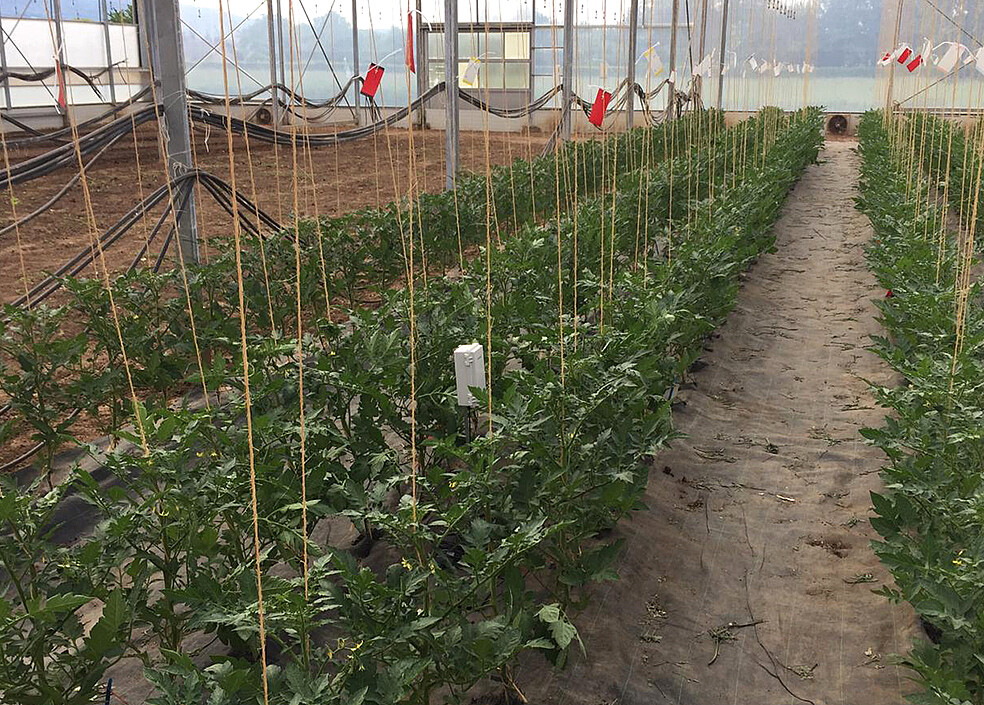 Der erste Prototyp des neuen Saugspannungssensors wurde unter Realbedingungen in der landwirtschaftlichen Praxis erprobt und optimiert. (Bild: Institut für Mechanische Verfahrenstechnik und Mechanik / KIT)