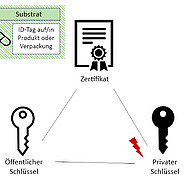 Der enzymatische Authentifizierungsschutz funktioniert ähnlich dem Schlüssel-Schloss-Prinzip digitaler Zertifikate. Enzym und Substrat verhalten sich wie öffentlicher Schlüssel und Zertifikat. Die sich dahinter versteckende herstellerspezifische enzymatische Reaktion entspricht dem privaten Schlüssel, der von Fremdunternehmen nur sehr schwer entschlüsselt werden kann. Dadurch ist der Bio-Tag fälschungssicher. (Bild: Patrizia Gartner / KIT)