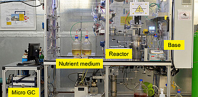Grundaufbau der Laboranlage SANDRA: Synthesegas-Fermentationsanlage für hohe Drücke zur Erzeugung von Alkoholen und Acetaten. (Bild: Bild: T. Zevaco / KIT)