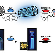 Funktionsprinzip in einem einfachen Schema: Trägermaterial der neuen Sensoren ist Zeolith mit zugesetzten Farbstoffen. Nimmt die Fluoreszenz des neuen Sensors ab, ist der Analyt nachgewiesen. Mithilfe eines optischen Gerätes ist das optische Signal ablesbar. (Bild: Institut für Nanotechnologie / KIT)