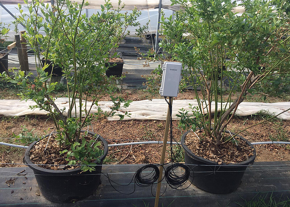 Der erste Prototyp des neuen Saugspannungssensors wurde unter Realbedingungen in der landwirtschaftlichen Praxis erprobt und optimiert. (Bild: Institut für Mechanische Verfahrenstechnik und Mechanik / KIT)