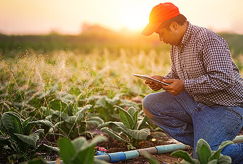 Humidity guard for agriculture