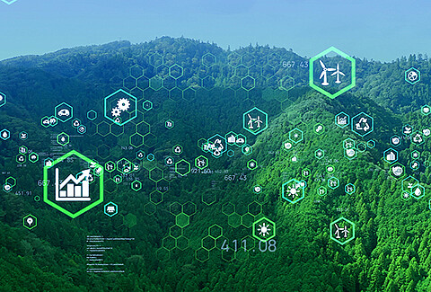 How forest protection will bear fruits using artificial intelligence