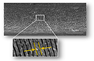 More efficiency through light