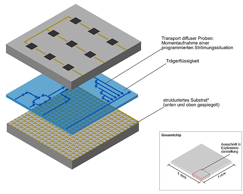 Beispiel für programmierte Strömungspfade im Flüssigkeitsfilm. Die Darstellung zeigt die Flüssigkeit (Mitte) zwischen zwei Substratplatten über die die Anregung und Steuerung erfolgt. (Bild: Philipp Marthaler / KIT)