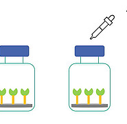 Principle of the tamper-evident test with enzyme-substrate combination. Immobilized enzymes are applied to a titanium platelet. After the addition of a material-specific substrate, a yellow coloration occurs in the case of authenticity. Depending on the design example, different color reactions can indicate authenticity. (Image: Patrizia Gartner / KIT)