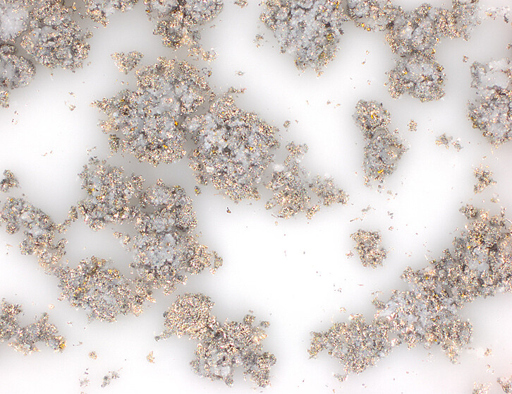 Ein mit Lithiumdendriten durchwachsener Separator, der aus einer Zelle entnommen wurde, die dem neu entwickelten Testverfahren ausgesetzt wurde. (Bild: Institut für Angewandte Materialien / KIT)