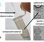 Biocompatible DNA molecules are polymerized with synthetic silica nanoparticles and carbon nanotubes to form a composite material. The physicochemical material properties can be precisely adjusted by the ratio of the base materials. Cells can grow optimally in the composite material. At the desired time, the composite material can be removed easily and gently. (Image: Institute for Biological Interfaces 1 / KIT)