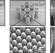 Mikrostrukturen unter dem Mikroskop