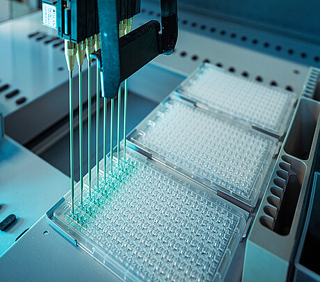 Der bessere Laborstandard (Bild: Amadeus Bramsiepe / KIT)